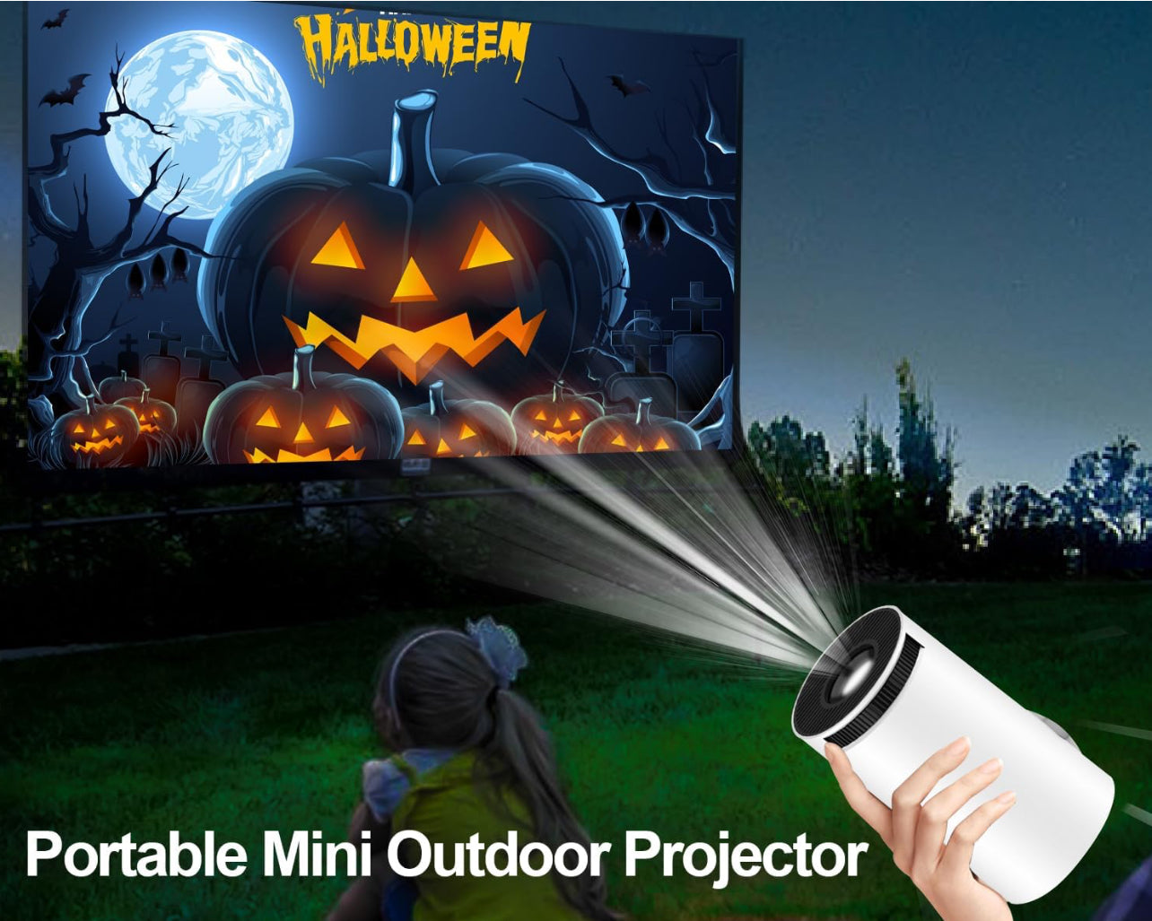 ProVision Mini Projector